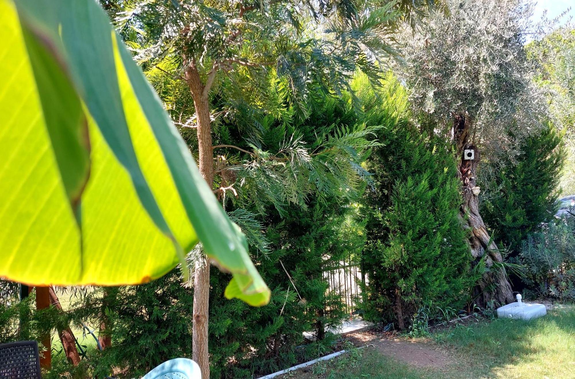 Palmiyem Apart Otel Seferihisar Εξωτερικό φωτογραφία
