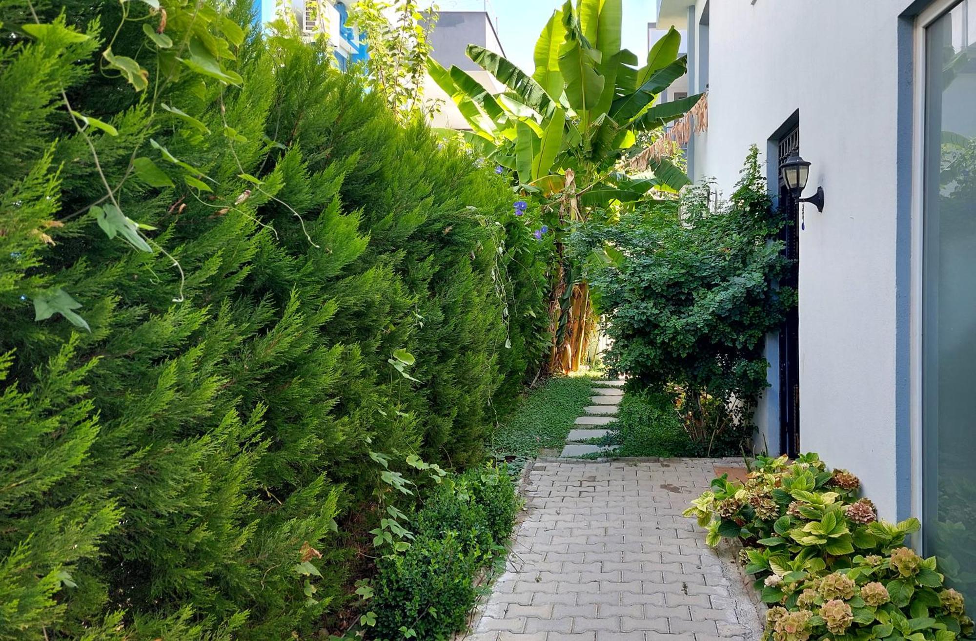 Palmiyem Apart Otel Seferihisar Εξωτερικό φωτογραφία