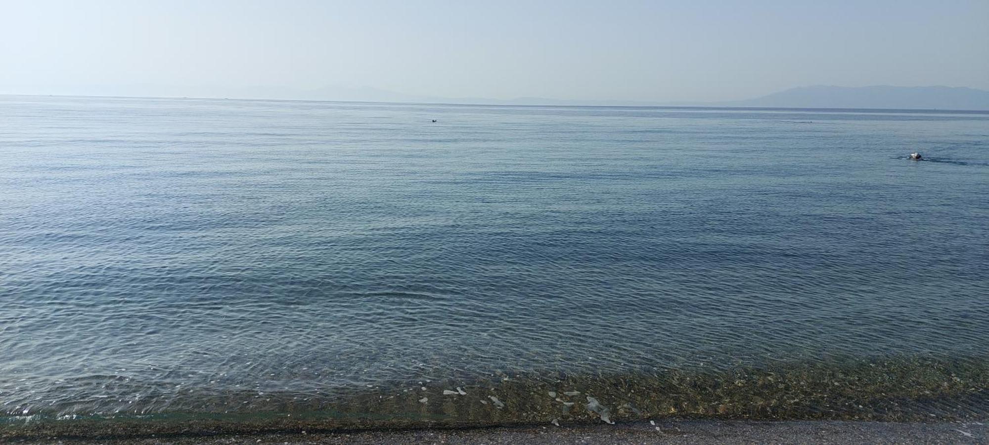 Palmiyem Apart Otel Seferihisar Εξωτερικό φωτογραφία